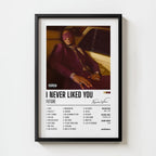 I NEVER LIKED YOU